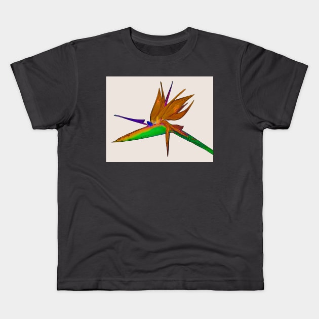 Tropical Bird Of Paradise Watercolor Kids T-Shirt by KirtTisdale